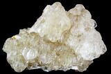 Cerussite Crystal Cluster - Morocco #107895-1